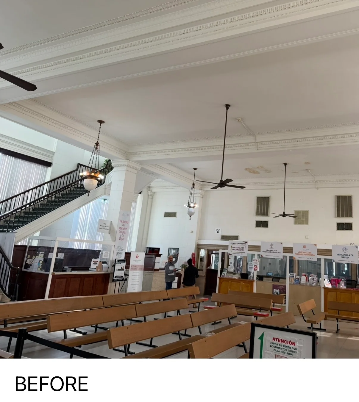 Freshly painted commercial interior with white ceilings, crown molding, and multiple ceiling fans